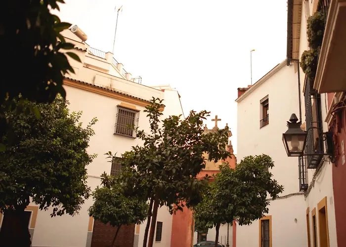 公寓 San Fernando 62 *